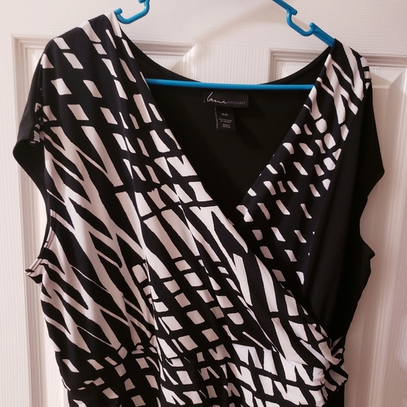 Size 18/20 Lane Bryant Dress - Picture 4 of 7